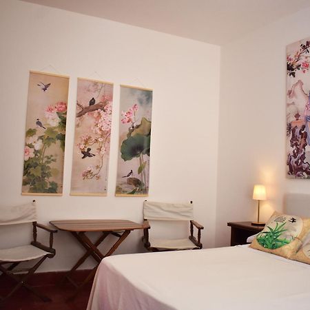 B&B Casabianca Palinuro Zewnętrze zdjęcie