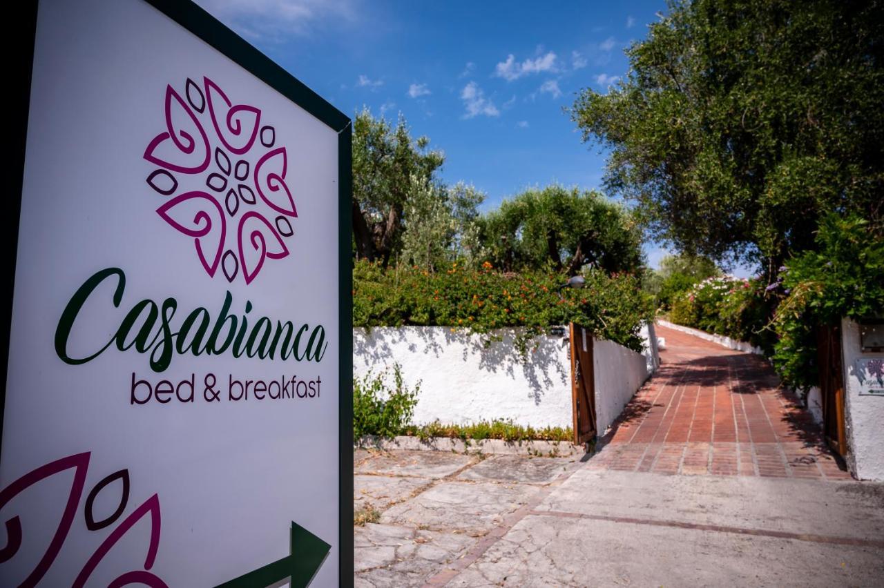 B&B Casabianca Palinuro Zewnętrze zdjęcie