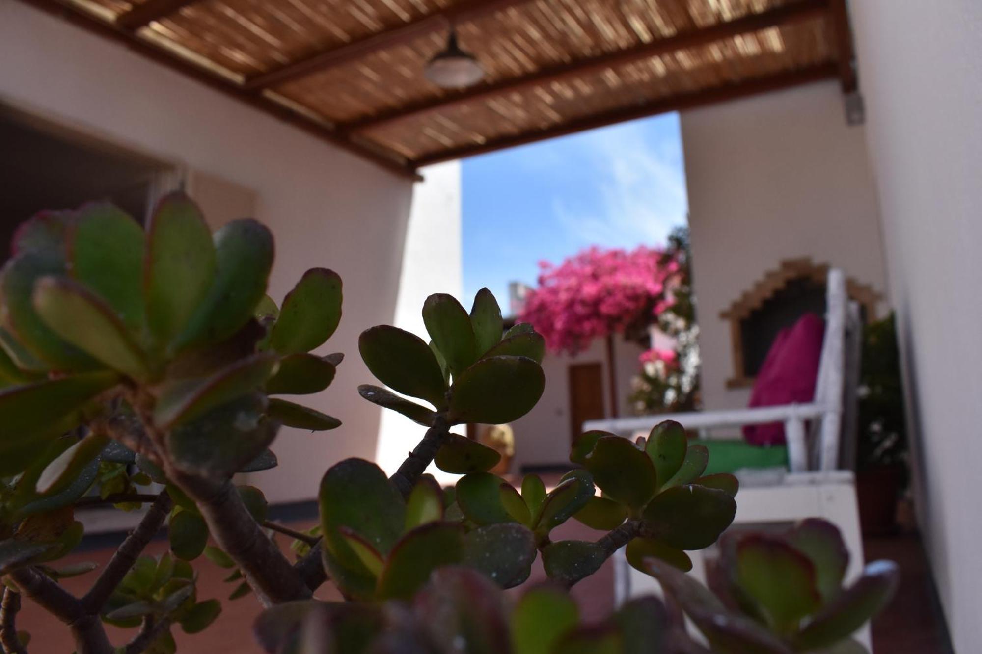 B&B Casabianca Palinuro Zewnętrze zdjęcie