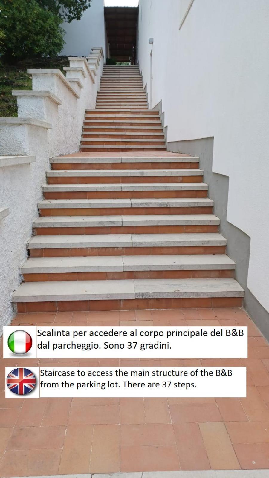 B&B Casabianca Palinuro Zewnętrze zdjęcie