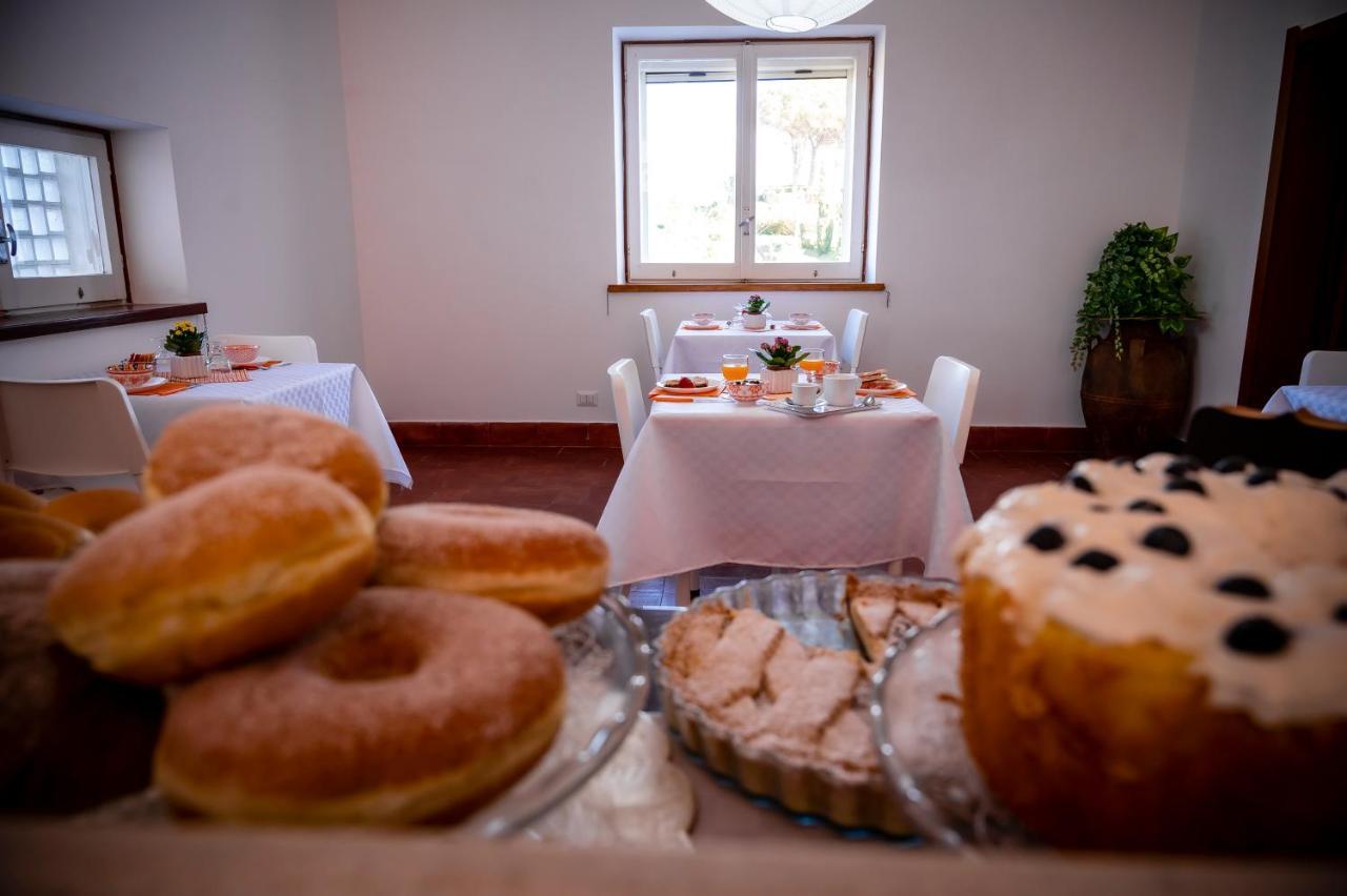 B&B Casabianca Palinuro Zewnętrze zdjęcie